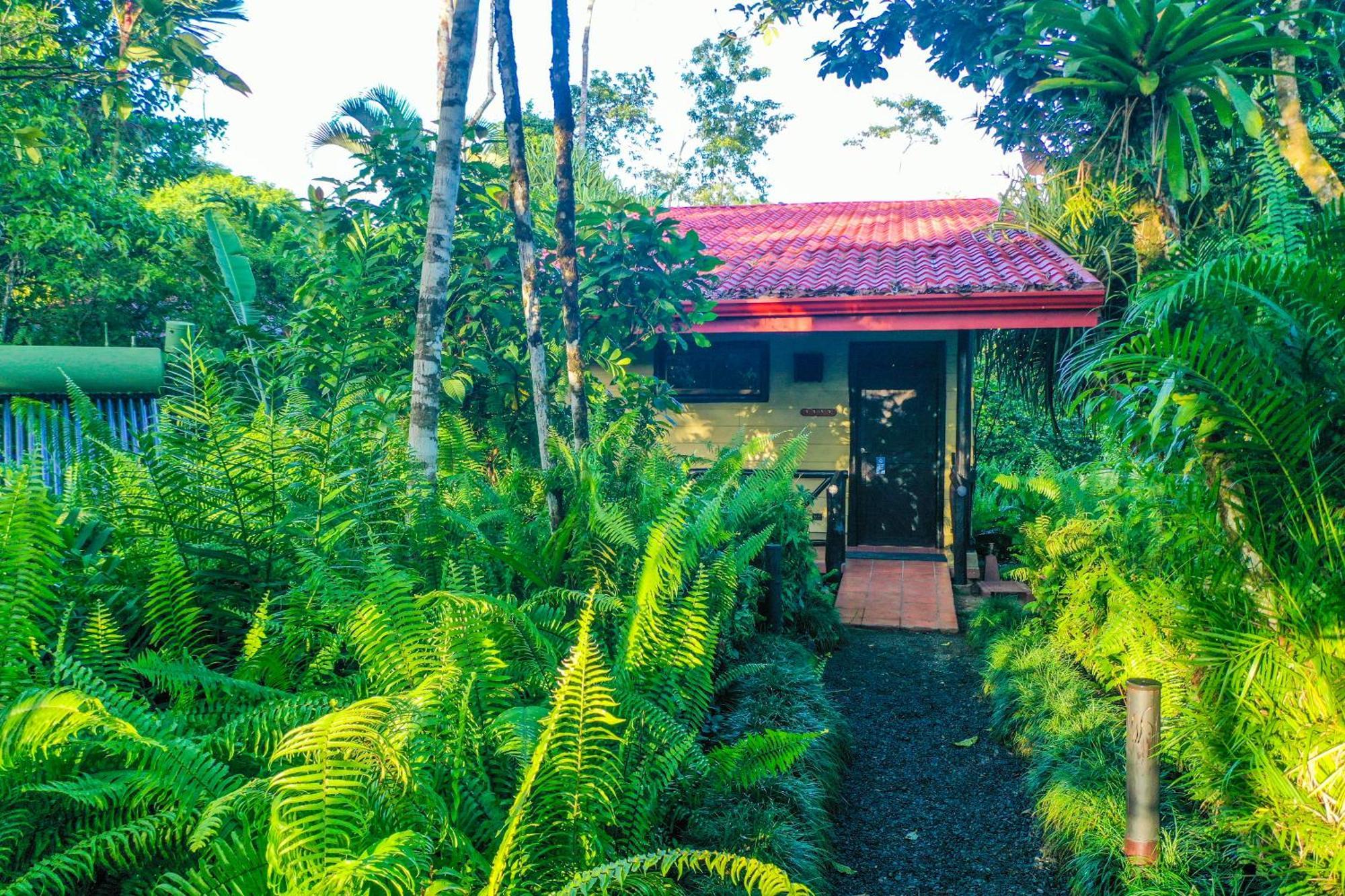 Maquenque Ecolodge Boca Tapada Quarto foto